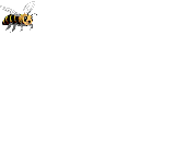 bee_flying